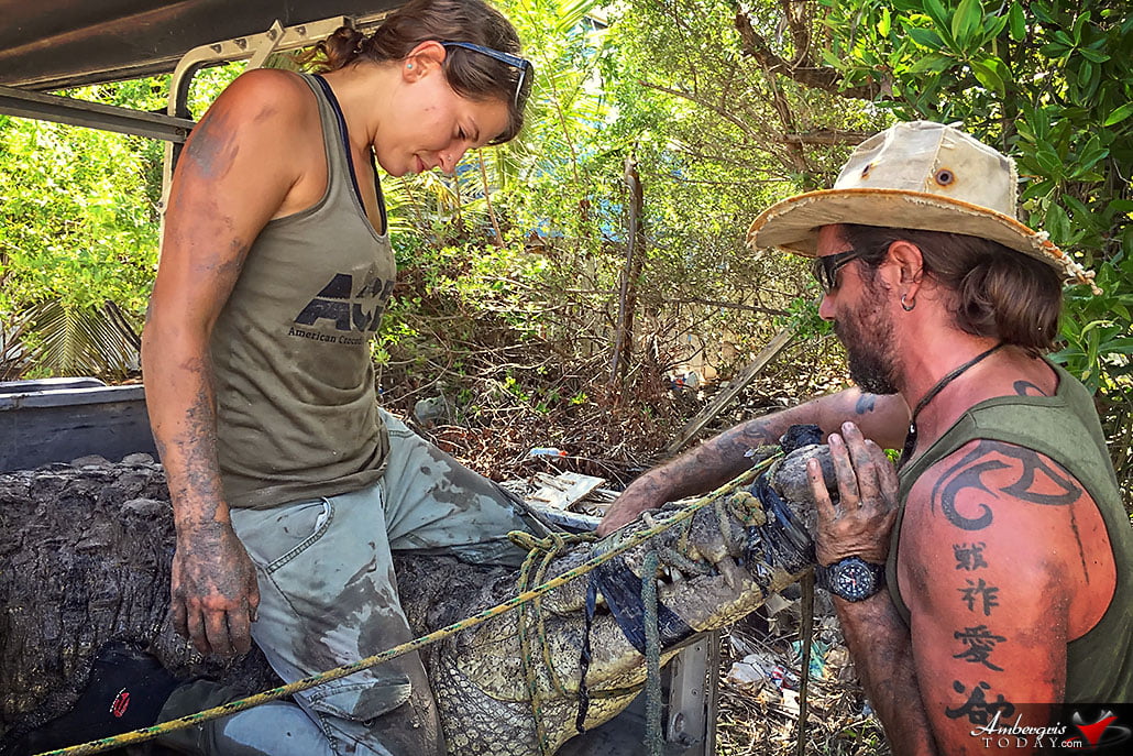 The Amazing Crocodile Hunter Duo of ACES, Chris Summers and Christina Manzi 