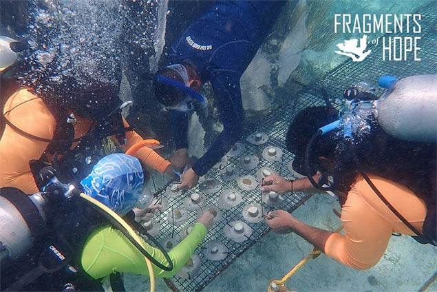 Adolfo Ayuso is San Pedro’s Reef Builder, Fragments of Hope Reef Replenishment