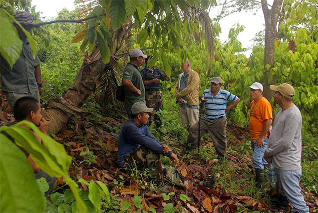 The Ya’axché Conservation Trust Celebrates its Third Year of Successful Agroforestry Farming