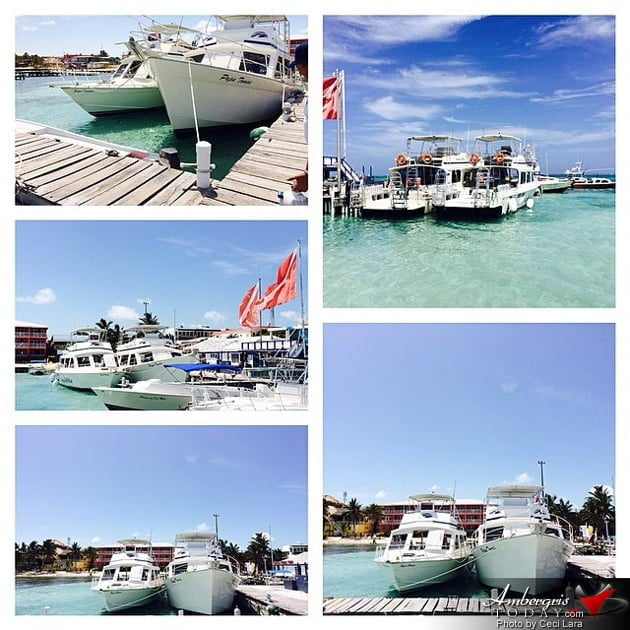 Amigos Del Mar, Friends of the Sea Amigos Del Mar, Friends of the Sea