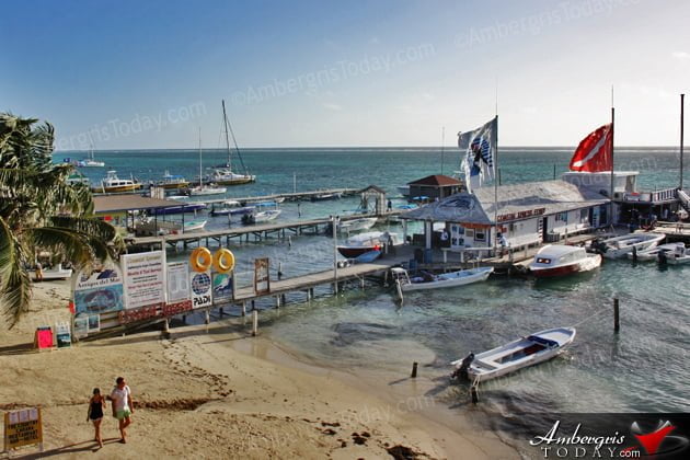 Amigos Del Mar, Friends of the Sea Amigos Del Mar, Friends of the Sea