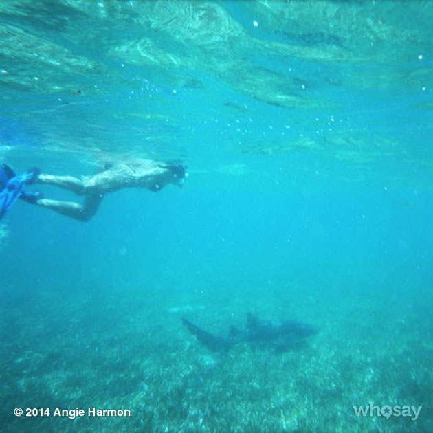 Celebrity Spotting – Angie Harmon Vacations in Belize