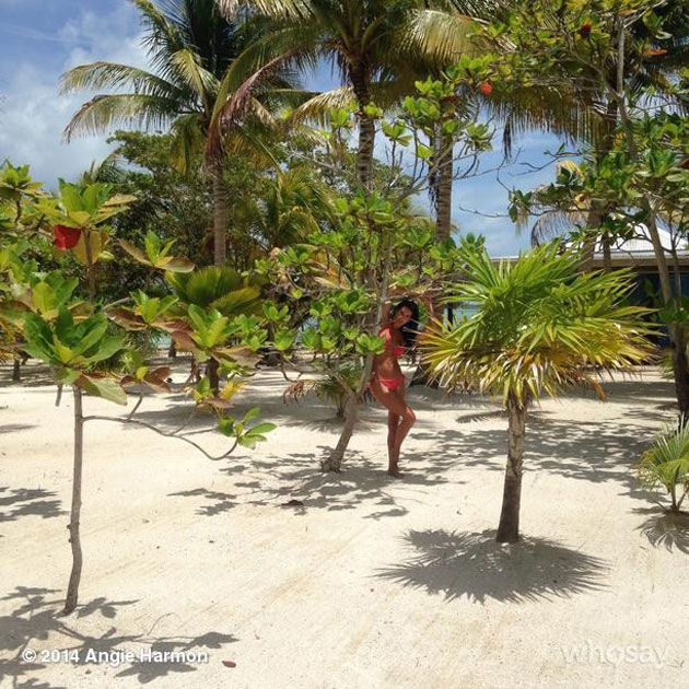 Celebrity Spotting – Angie Harmon Vacations in Belize