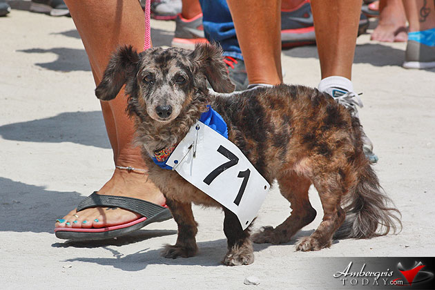 Islanders Run/Walk 5K for Autism Awareness