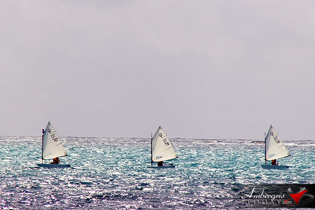 The youngest of sailors participated in the smalles of sailing crafts - The Optimist Dinghy San Pedro Sailors Help Set New Guinness World Record for Bart’s Bash