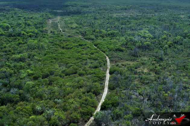 Basil Jones airstrip to be converted to Efrain Guerrero International Airport Plans for International Airport in Ambergris Caye, Belize Announced