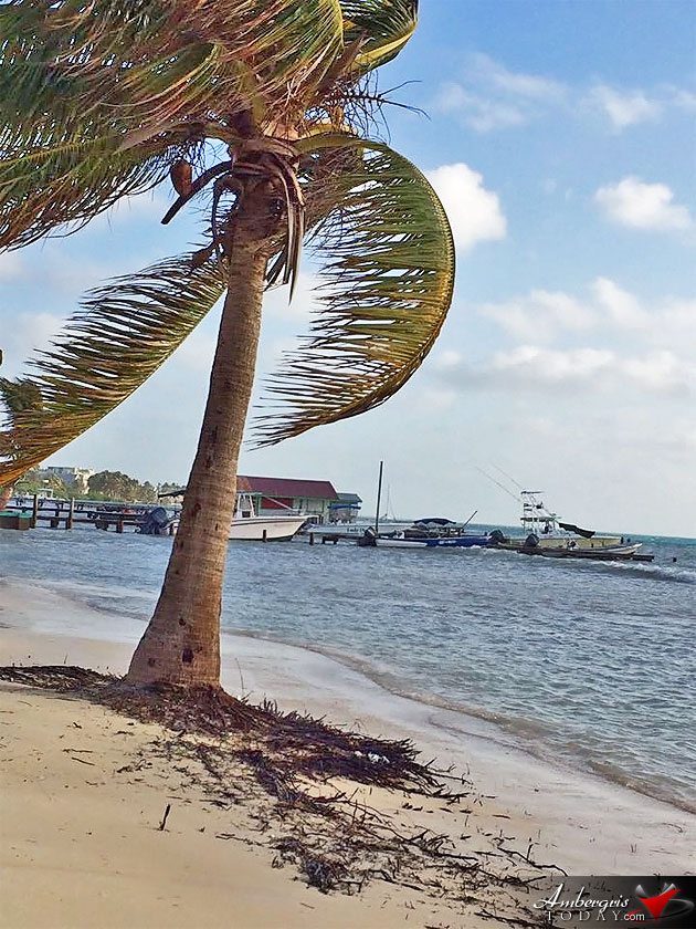 Unpredictable Weather in Belize, High Winds Cause Beach Erosion