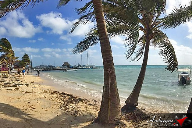 Unpredictable Weather in Belize, High Winds Cause Beach Erosion