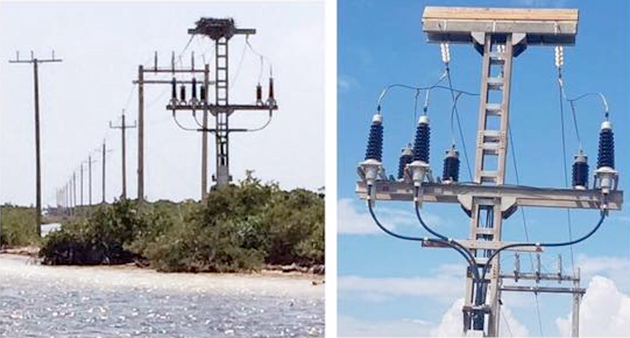 BEL Removes Osprey Nest from Transmission Lines, Installs Platforms for Birds