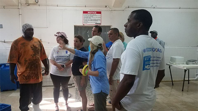 Belize and Cuba Share Ideas for Sustainable Fisheries Management