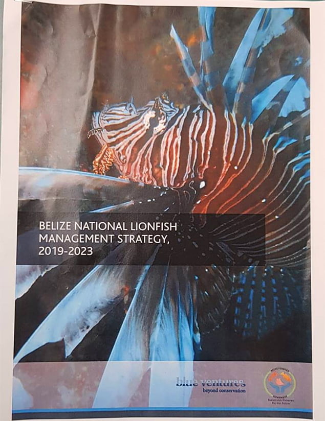 Belize Fisheries Department Launches Belize National Lionfish Management Strategy