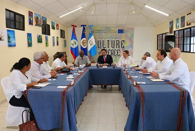 Foreign Ministers of Belize and Guatemala Meet at OAS Office at the Adjacency Zone