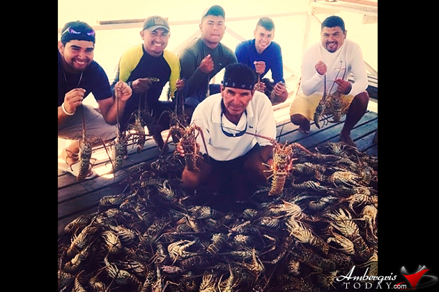Islanders Enjoy First Batch of Lobsters of the Season