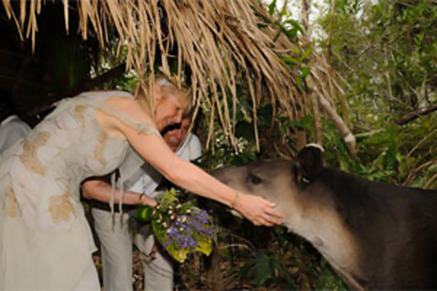 Wedding at The Belize Zoo