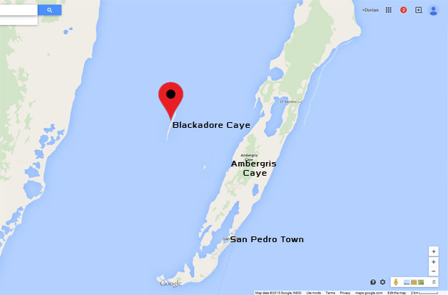 Leonardo DiCaprio Want to Change the World with New Eco-Resort in Belize