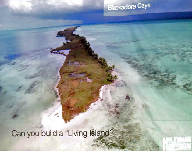 Leonardo DiCaprio’s Blackadore Caye Does Not Sit Well with Fishermen in Belize