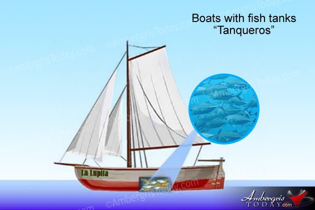 Sailing Boat Tanks, Wells, Tanqueros made by local Sanpedranos to keep their fish alive so they could later sell fresh in Belize City