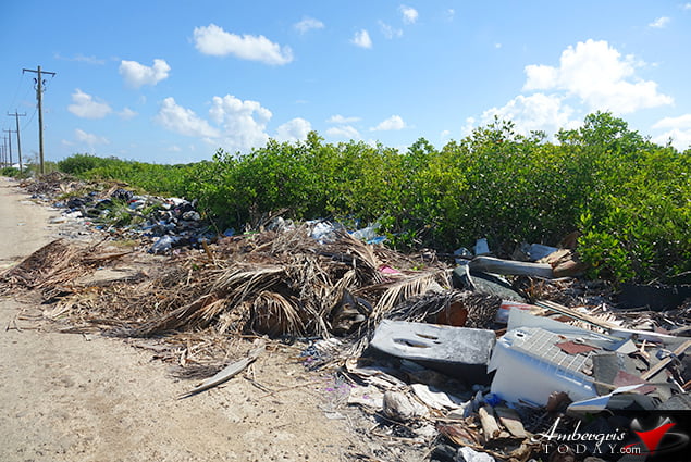BTIA's Big Garbage Clean Up on Ambergris Caye