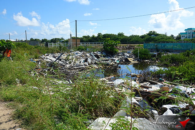 BTIA's Big Garbage Clean Up on Ambergris Caye