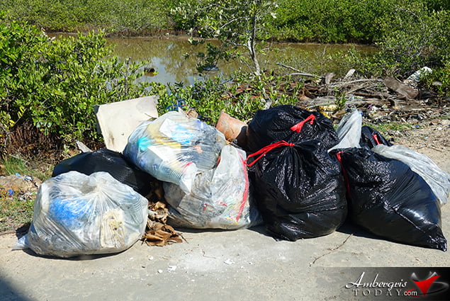 BTIA's Big Garbage Clean Up on Ambergris Caye