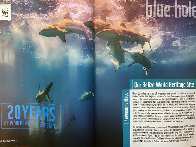 BTL Launches Innovative Directory Highlighting Belize World Heritage Site 4 BTL Launches New Innovative Directory That Highlights Belize Reef