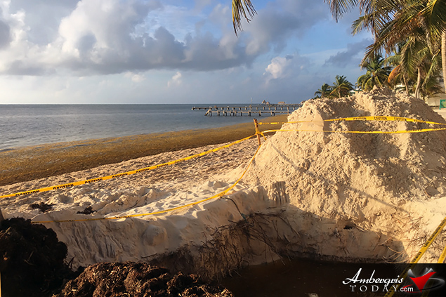 Resorts Are Building Beaches with Sargasso