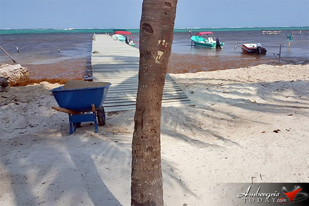 Resorts Are Building Beaches with Sargasso