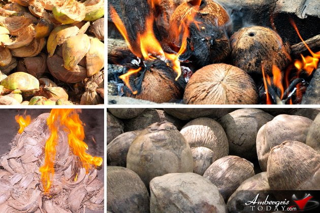 Old Timer or Modern Sanpedrano? Num. 21