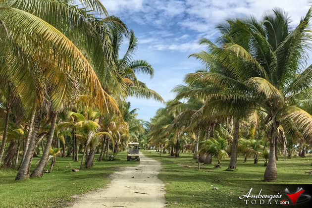 The golf island of Caye Chapel, Belize Pro Golfer Greg Norman to Trademark Caye Chapel Golf Course