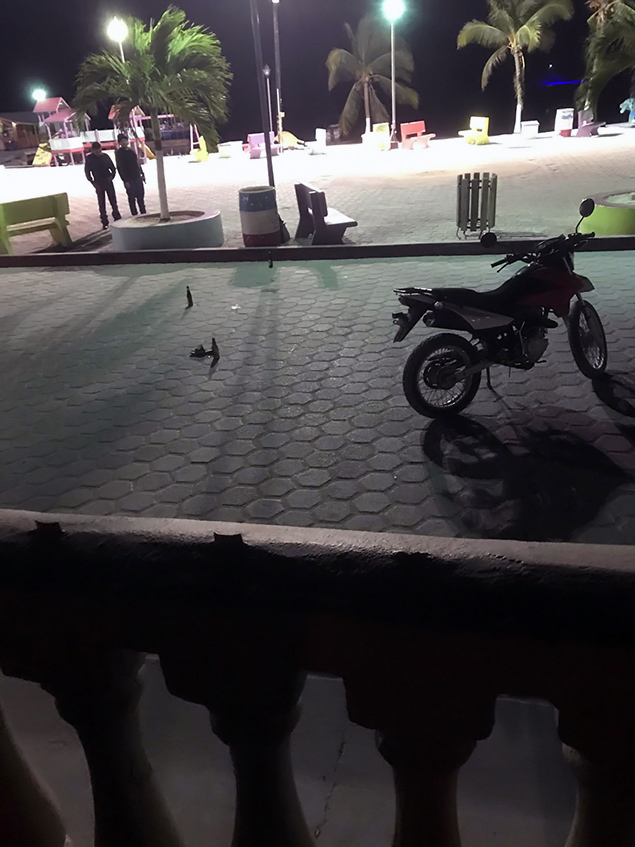 Shooting at Central Park is First Homicide of the Year in Sen Pedro