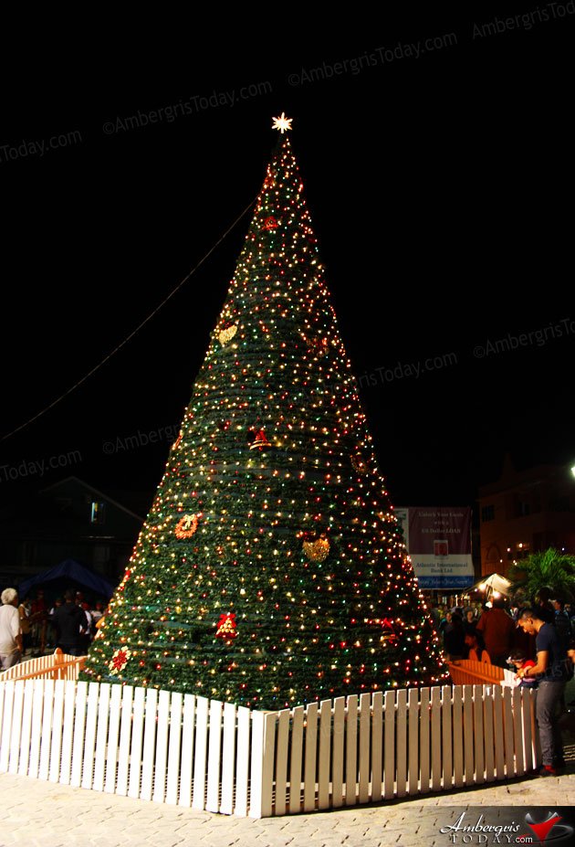 San Pedro Lights Christmas Tree at Central Park
