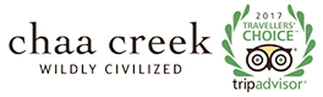 Belize Eco-Resort Chaa Creek Wins National Geographic World Legacy Award