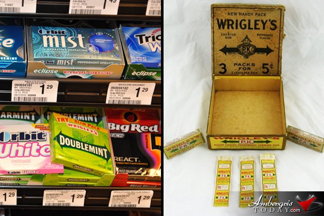 Old Timer or Modern Sanpedrano? Num. 20