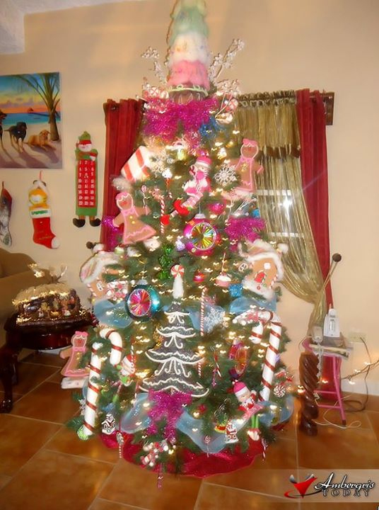 Saskia Alejos/Suya Tours Christmas Tree