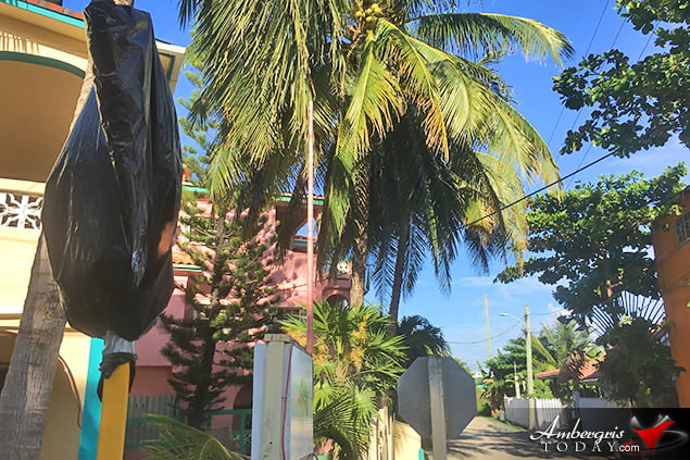 San Pedro Town Council Considers making sections of Coconut Drive and Seagrape Dive One Way Streets