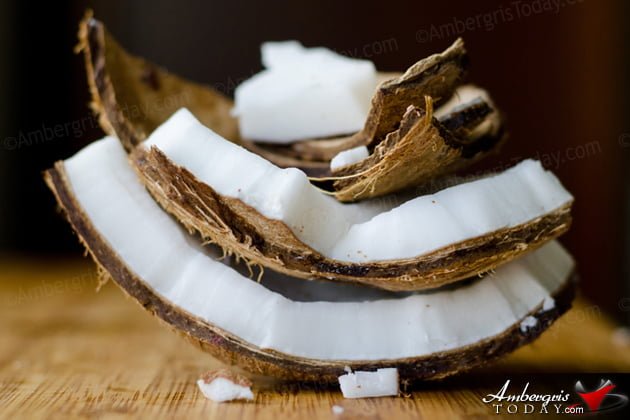 coconut meat