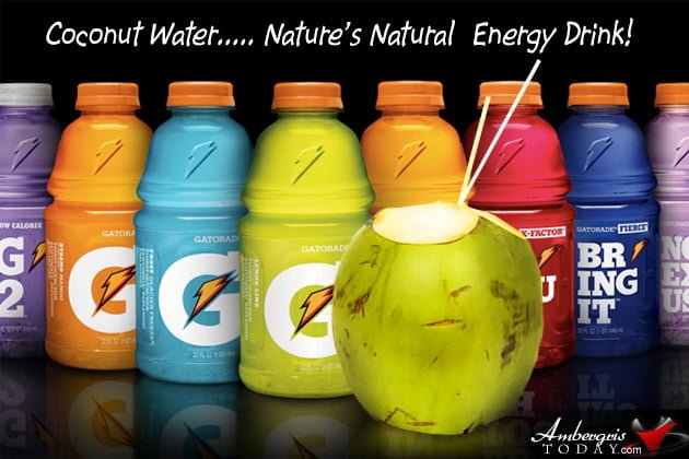 The Incredible Coconut Tree