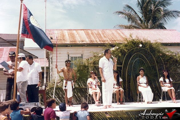 The Incredible Coconut Tree