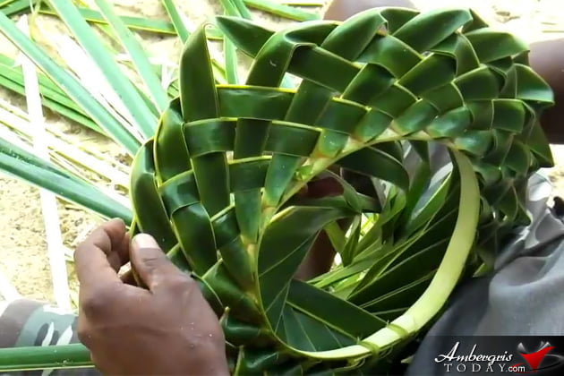 The Incredible Coconut Tree