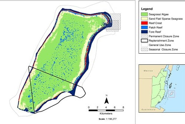 What If You Could No Longer Enjoy Belizean Conch Soup or Ceviche? 4 What If You Could No Longer Enjoy Belizean Conch Soup or Ceviche?