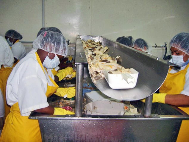 What If You Could No Longer Enjoy Belizean Conch Soup or Ceviche? 3 What If You Could No Longer Enjoy Belizean Conch Soup or Ceviche?