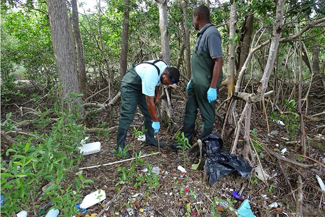 Coastal Zone Management Participates in Plastic Pollution Workshop