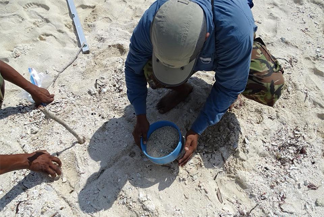 Coastal Zone Management Participates in Plastic Pollution Workshop