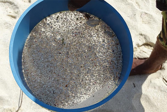 Coastal Zone Management Participates in Plastic Pollution Workshop