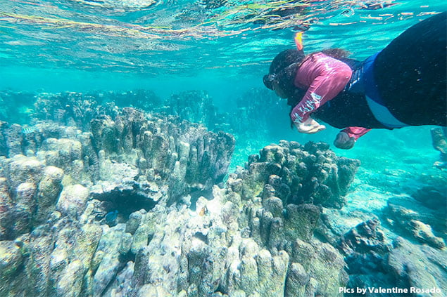 San Pedro’s Coral Reef Pillar Garden Is Gone Forever
