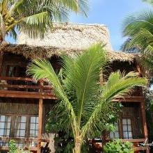 Parts of the resort remained untouched by the fire Ramon's Village Resort Plans Reopening After Devastating Fire