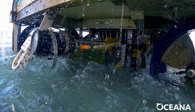 Oceana Confirms Deep Water Submersible Damaged Reef off Ambergris Caye