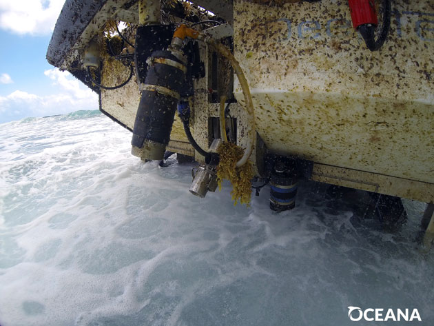 Oceana Confirms Deep Water Submersible Damaged Reef off Ambergris Caye