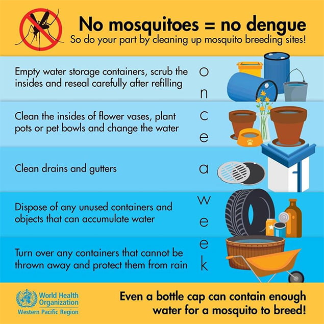 Dengue Outbreak In Belize