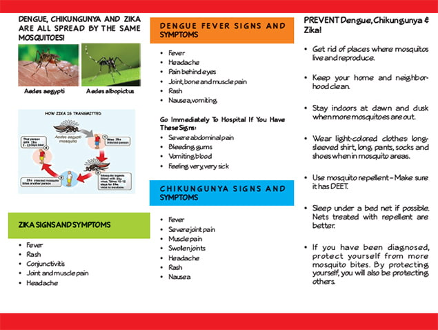 Dengue Outbreak In Belize